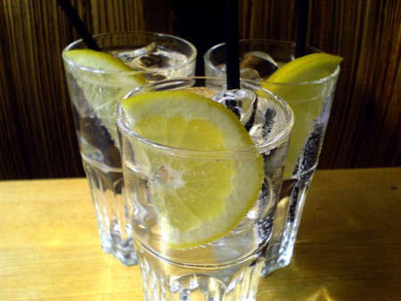 Catas de Gin & Tonics